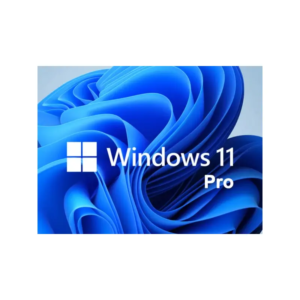 Windows 11 Pro 800x800 1